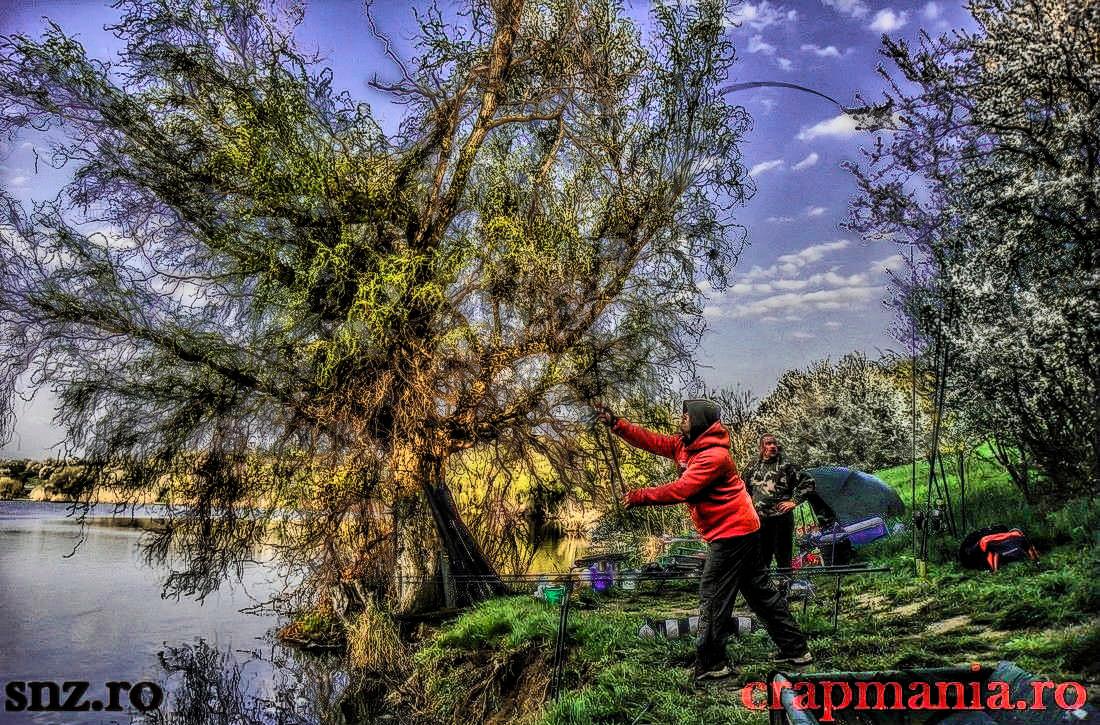 Cupa SBS (3) - 2013 - 1011645hdrmode2.JPG